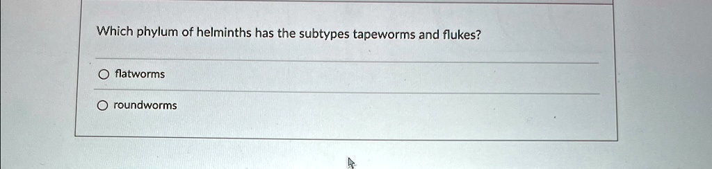 which-phylum-of-helminths-has-the-subtypes-tapeworms-and-flukes