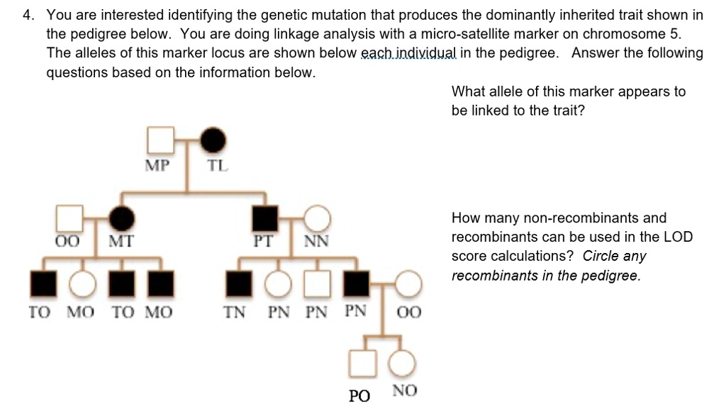 Solved What is the lod score? Select the two correct