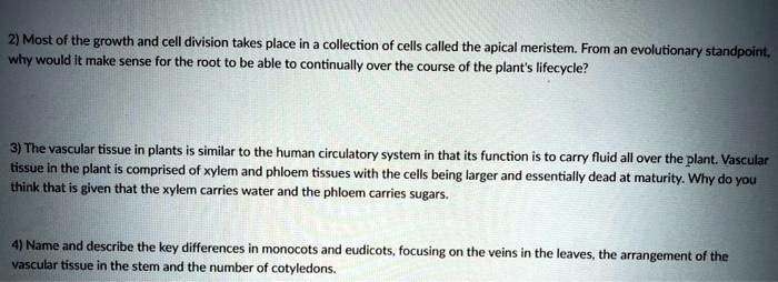 2) Most of the growth and cell division takes place in a collection of cells called the apical meristem. From an evolutionary standpoint, why would it make sense for the root to be able to continually over the course of the plant's lifecycle?

3) The vascular tissue in plants is similar to the human circulatory system in that its function is to carry fluid all over the plant. Vascular tissue in the plant is comprised of xylem and phloem tissues with the cells being larger and essentially dead at maturity. Why do you think that is given that the xylem carries water and the phloem carries sugars.

4) Name and describe the key differences in monocots and eudicots, focusing on the veins in the leaves, the arrangement of the vascular tissue in the stem and the number of cotyledons.