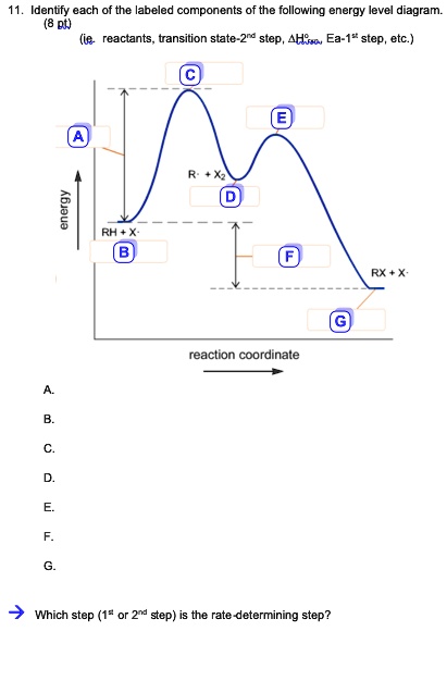 SOLVED:Identfy each of the labeled components (8 pN) reactants ...