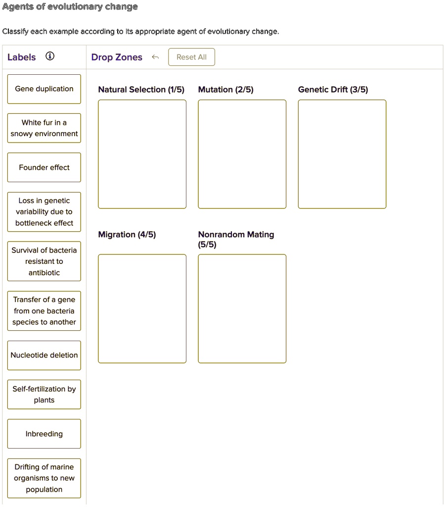 Agents of evolutionary change Classify each example according to its