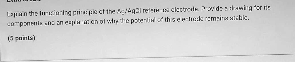 SOLVED: Explain the functioning principle of the Ag/AgCl reference ...