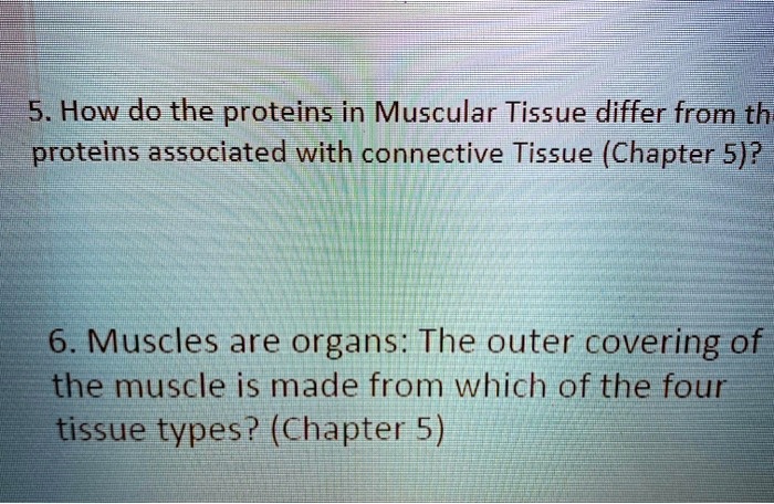 Video Solution How Do The Proteins In Muscular Tissue Differ From