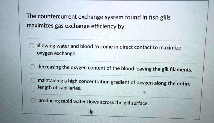 SOLVED: The countercurrent exchange system found in fish gills