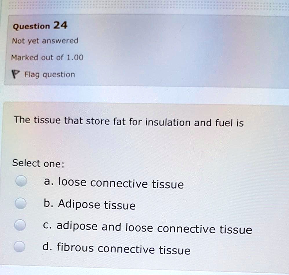 Solved:question 24 Not Yet Answered Marked Out Of 1.00 Flag Question The  Tissue That Store Fat For Insulation And Fuel Is Select One: A. Loose Connective  Tissue B Adipose Tissue C. Adipose Solved:question 24 Not Yet Answered Marked Out Of 1.00 Flag Question The  Tissue That Store Fat For Insulation And Fuel Is Select One: A. Loose Connective  Tissue B Adipose Tissue C. Adipose