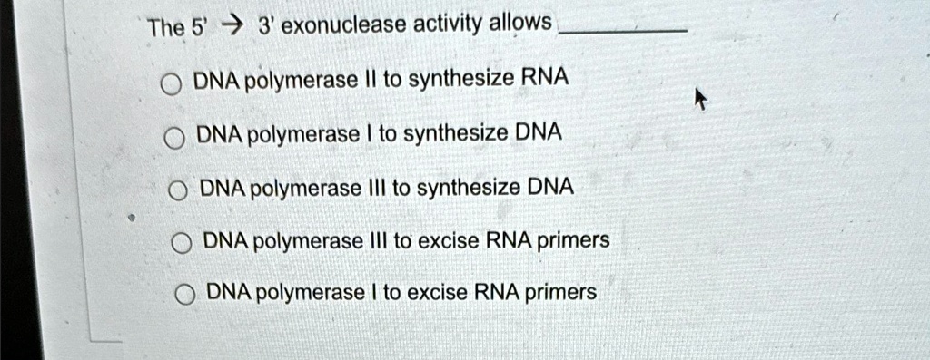 Dna Polymerase Iii 3 5 Exonuclease Activity