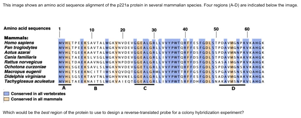 this image shows an amino acid sequence alignment of the p2z1a protein ...