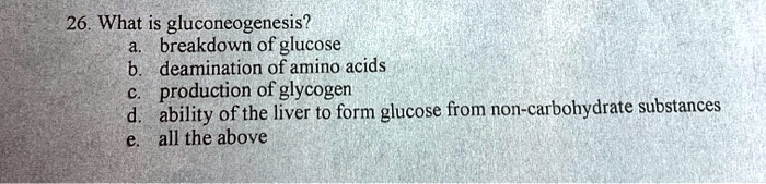 Solved 26 What Is Gluconeogenesis Breakdown Of Glucose Deamination