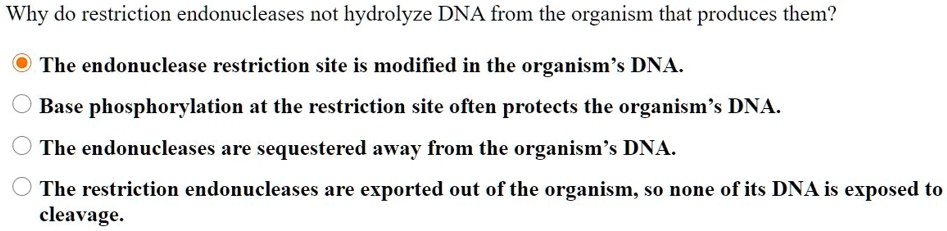 SOLVED: Why do restriction endonucleases not hydrolyze DNA from the ...