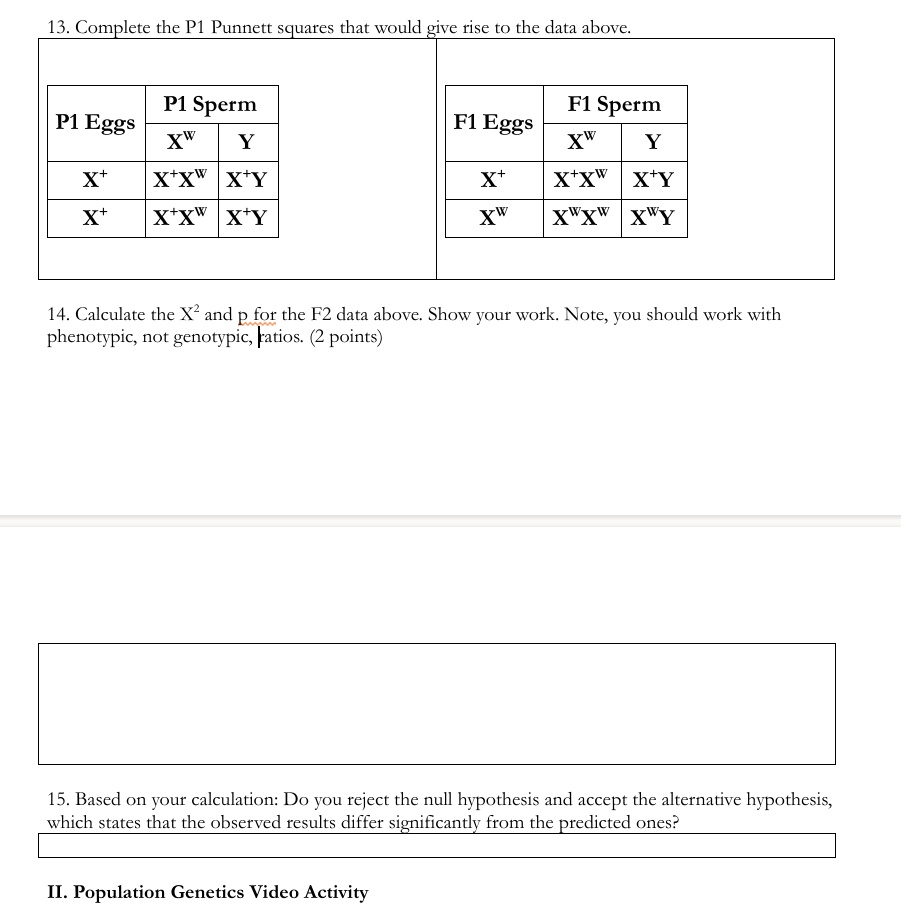 13. Complete the P1 Punnett squares that would give rise to the data above.

P1 Eggs | P1 Sperm: XW, Y | X+: X+XW, X+Y | X+: X+XW, X+Y
F1 Eggs | F1 Sperm: XW, Y | X+: X+XW, X+Y | XW: XWXW, XWY

14. Calculate the X" and p for the F2 data above. Show your work. Note, you should work with phenotypic, not genotypic, ratios. (2 points)
15. Based on your calculation: Do you reject the null hypothesis and accept the alternative hypothesis, which states that the observed results differ significantly from the predicted ones?
II. Population Genetics Video Activity