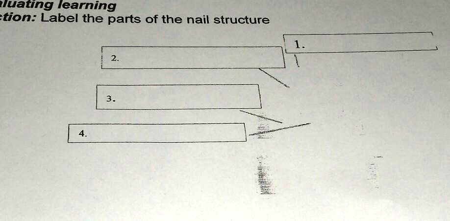 Label parts of nail structure lluating learning tion label...