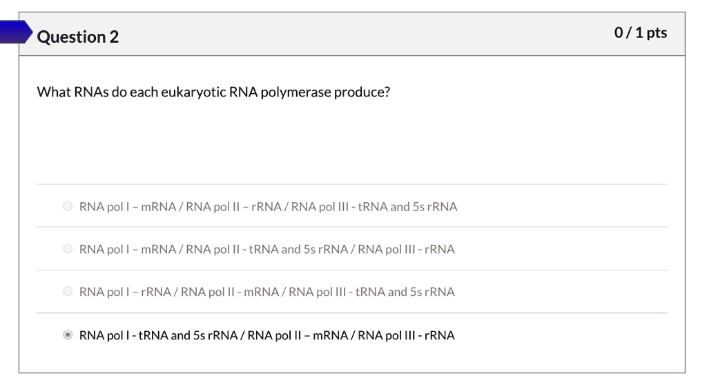 SOLVEDQuestion 2 0/1 pts What RNAs do each eukaryotic RNA polymerase