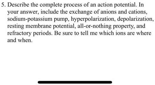 SOLVED: 5.Describe the complete process of an action potential.In your ...