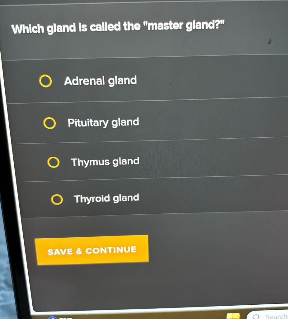 which endocrine gland is called master of master gland