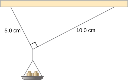 5.0 cm
10.0 cm