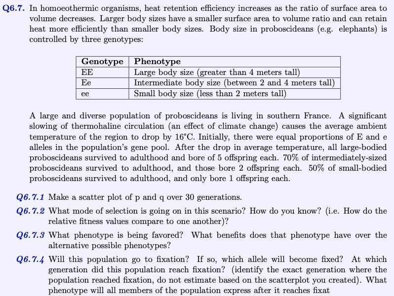 Q6.7. In homoeothermic organisms, heat retention efficiency increases as the ratio of surface area to volume decreases. Larger body sizes have a smaller surface area to volume ratio and can retain heat more efficiently than smaller body sizes. Body size in proboscideans (e.g. elephants) is controlled by three genotypes:

Genotype     Phenotype 

EE     Large body size (greater than 4 meters tall) 

Ee     Intermediate body size (between 2 and 4 meters tall) 

ee     Small body size (less than 2 meters tall) 


A large and diverse population of proboscideans is living in southern France. A significant slowing of thermohaline circulation (an effect of climate change) causes the average ambient temperature of the region to drop by 16^∘C. Initially, there were equal proportions of E and e alleles in the population's gene pool. After the drop in average temperature, all large-bodied proboscideans survived to adulthood and bore of 5 offspring each. 70 % of intermediately-sized proboscideans survived to adulthood, and those bore 2 offspring each. 50 % of small-bodied proboscideans survived to adulthood, and only bore 1 offspring each.
Q 6.7 .1 Make a scatter plot of p and q over 30 generations.
Q 6.7 .2 What mode of selection is going on in this scenario? How do you know? (i.e. How do the relative fitness values compare to one another)?
Q 6.7 .3 What phenotype is being favored? What benefits does that phenotype have over the alternative possible phenotypes?
Q 6.7 .4 Will this population go to fixation? If so, which allele will become fixed? At which generation did this population reach fixation? (identify the exact generation where the population reached fixation, do not estimate based on the scatterplot you created). What phenotype will all members of the population express after it reaches fixat