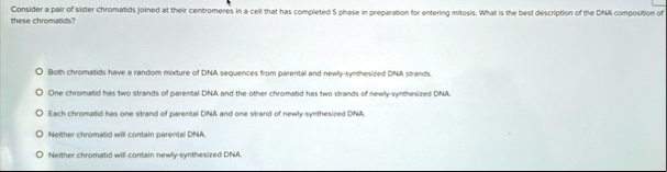 consider a pair of sister chromatids joined at their centromeres in a cell that has completed s phase in preparation for entering mitosis what is the best description of the dna composition  00854
