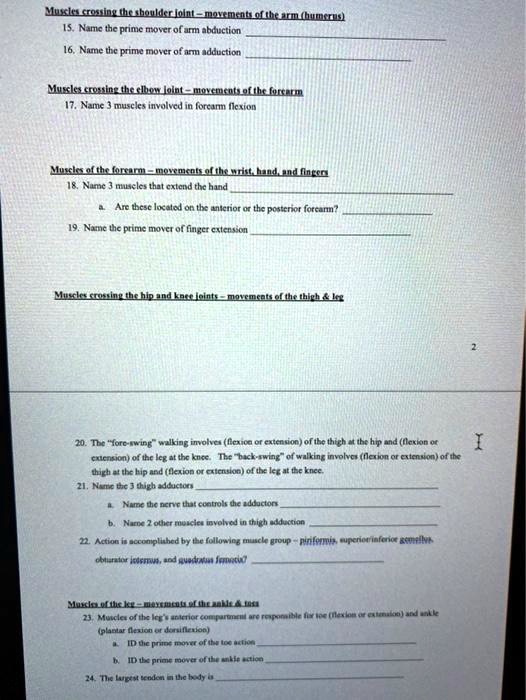 SOLVED Muscles crossing the shoulder joint movements of the arm