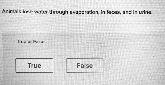 SOLVED: Animals lose water through evaporation, in feces, and in urine True or False True False SOLVED: Animals lose water through evaporation, in feces, and in urine True or False True False
