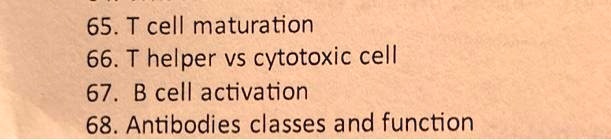 65. T cell maturation
66. T helper vs cytotoxic cell
67. B cell activation
68. Antibodies classes and function