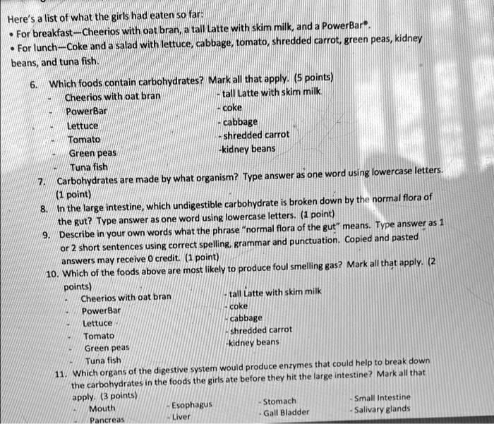 Here's a list of what the girls had eaten so far. For breakfast