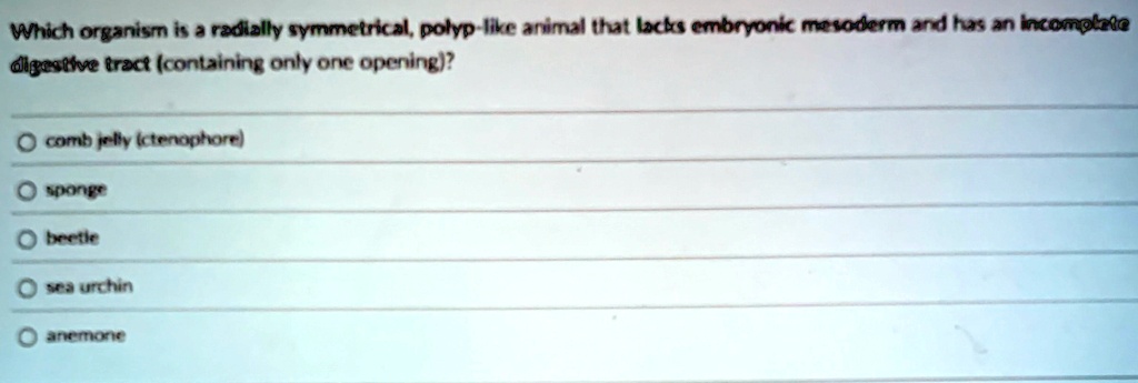 which organism is a radially symmetrical polyp like animal that lacks embryonic mesoderm and has an incomplete digestive tract containing only one opening comb jelly ctenophore sponge beetle 68363