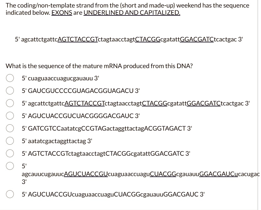 the codingnon template strand from the short and made up weekend has the sequence indicated below exons are underlined and capitalized 5 agcattctgattcagtcctaccgtctagtaacctagtctacggcgatattgga 23452