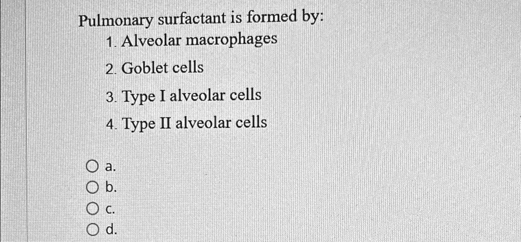 SOLVED: Pulmonary surfactant is formed by: Alveolar macrophages Goblet ...