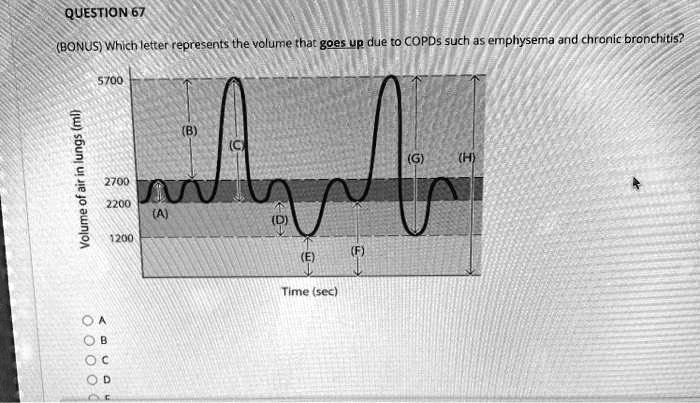 QUESTION 67
(BONUS) Which letter represents the volume that goes up due to COPDs such as emphysema and chronic bronchitis?
5700
(B)
(C)
(G)
(H)
Volume of air in lungs (ml)
2700
2200
(A)
(D)
1200
(E)
(F)
Time (sec)
A
B
C
D
E