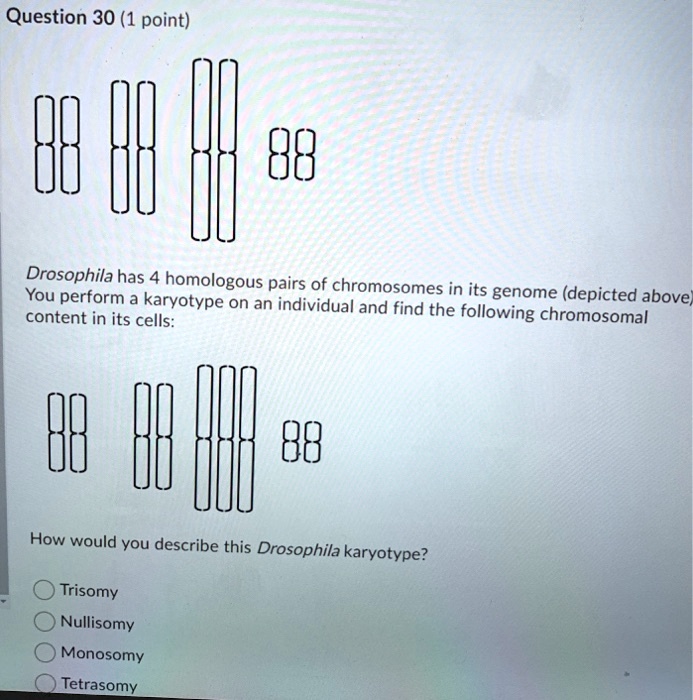 SOLVED: Drosophila has 4 homologous pairs of chromosomes in its genome ...