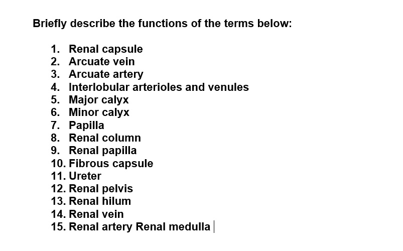 Briefly describe the functions of the terms below:

1. Renal capsule
2. Arcuate vein
3. Arcuate artery
4. Interlobular arterioles and venules
5. Major calyx
6. Minor calyx
7. Papilla
8. Renal column
9. Renal papilla
10. Fibrous capsule
11. Ureter
12. Renal pelvis
13. Renal hilum
14. Renal vein
15. Renal artery Renal medulla