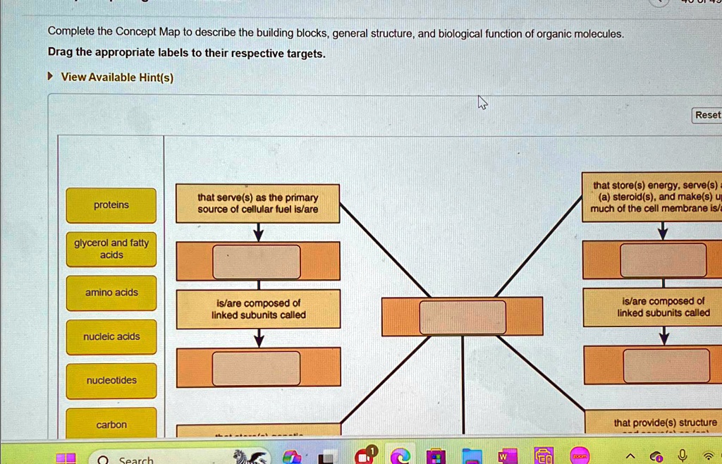 Complete the Concept Map to describe the building blocks, general structure, and biological function of organic molecules.
Drag the appropriate labels to their respective targets.
? View Available Hint(s)
proteins
glycerol and fatty
acids
amino acids
nucleic acids
nucleotides
carbon
Search
Reset
that serve(s) as the primary
source of cellular fuel is/are
that store(s) energy, serve(s) a
(a) steroid(s), and make(s) up
much of the cell membrane is/a
is/are composed of
linked subunits called
is/are composed of
linked subunits called
that provide(s) structure