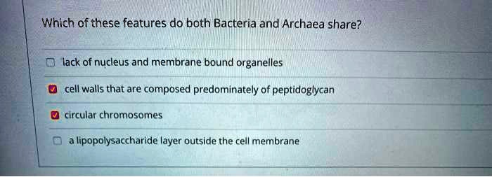 Which of these features do both Bacteria and Archaea share?

lack of nucleus and membrane bound organelles
cell walls that are composed predominately of peptidoglycan
circular chromosomes
a lipopolysaccharide layer outside the cell membrane