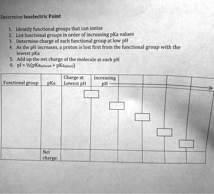 Determine Isoelectric Point 1. Identify functional groups that can ...
