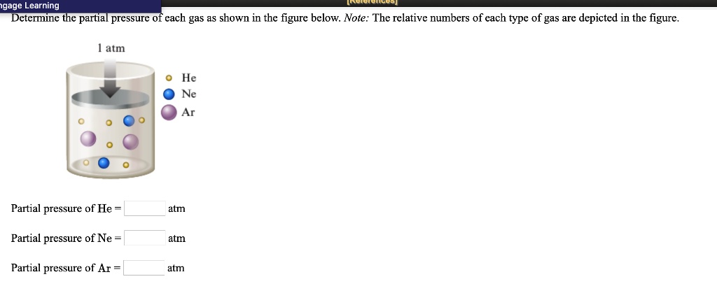 Determine the partial pressure of each gas as shown in the...