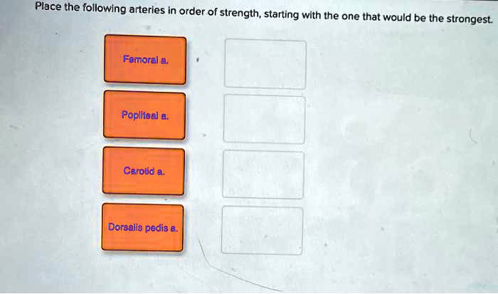 Place the following arteries in order of strength, starting with the one that would be the strongest.
Femoral a.
Popliteal a.
Carotid a.
Dorsalis pedis a.