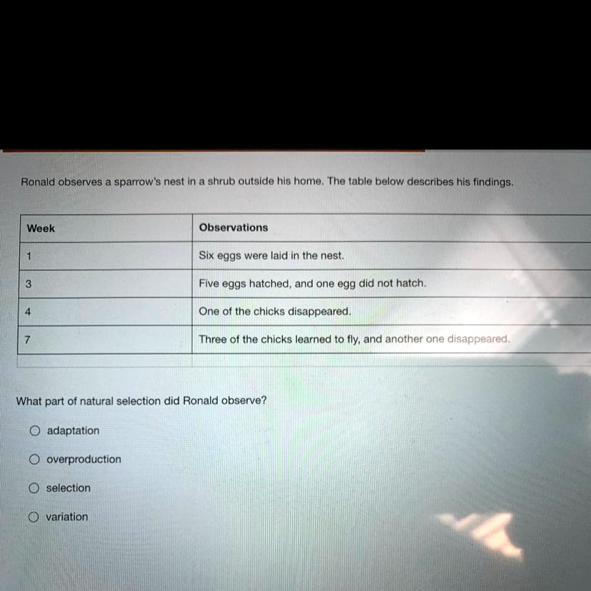 SOLVED: Ronald observes a sparrow's nest in a shrub outside his home