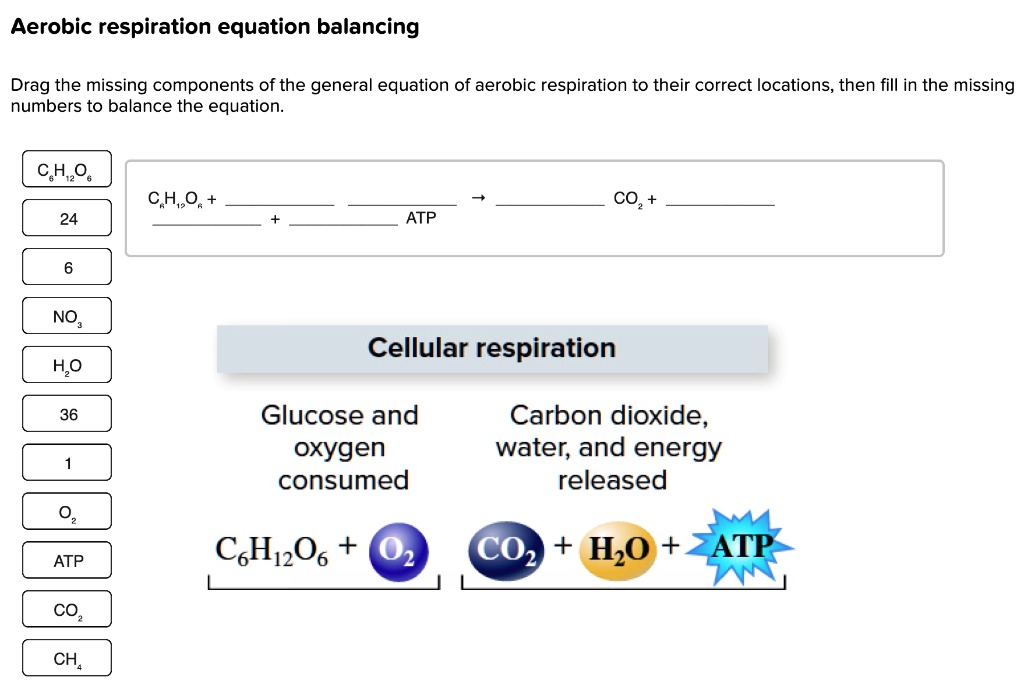 aerobic-respiration-equation-balancingdrag-the-missin-solvedlib