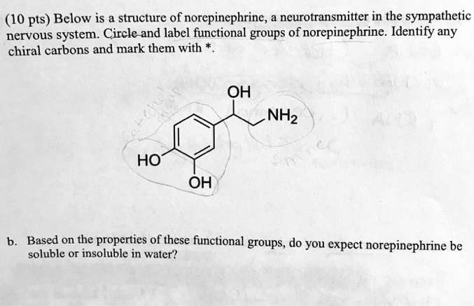 Video Solution: Below Is The Structure Of Norepinephrine, A 