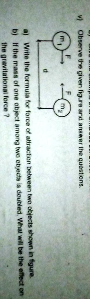 observe the figure and answer the questions class 10