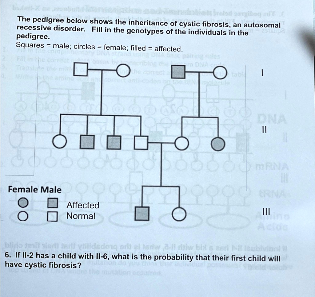 SOLVED: The pedigree below shows the inheritance of cystic fibrosis, an ...