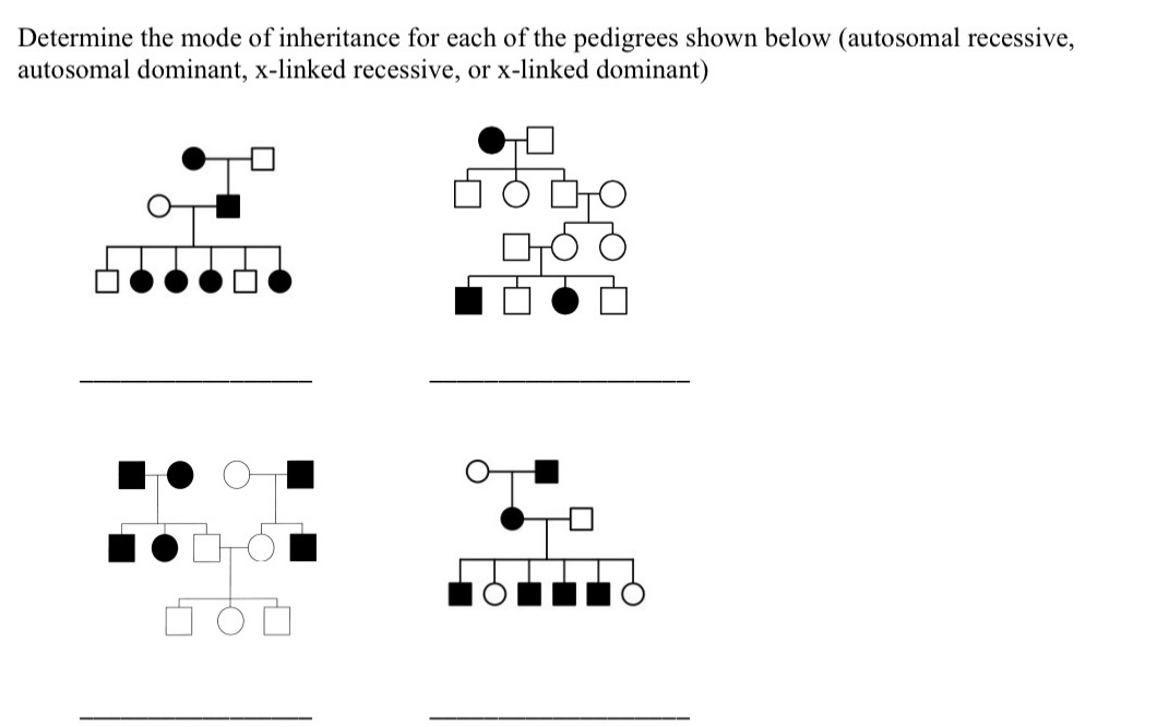 SOLVED: Determine the mode of inheritance for each of the pedigrees ...