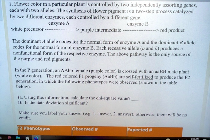 1. Flower color in a particular plant is controlled by two independently assorting genes, each with two alleles. The synthesis of flower pigment is a two-step process catalyzed by two different enzymes, each controlled by a different gene:
enzyme A enzyme B
white precursor ——————> purple intermediate ——————> red product
The dominant A allele codes for the normal form of enzyme A and the dominant B allele codes for the normal form of enzyme B. Each recessive allele (a and b) produces a nonfunctional form of the respective enzyme. The above pathway is the only source of the purple and red pigments.
In the P generation, an AAbb female (purple color) is crossed with an aaBB male plant (white color). The red colored F1 progeny (AaBb) are self-fertilized to produce the F2 generation, in which the following phenotypes were observed (shown in the table below).
1a. Using this information, calculate the chi-square value? 
1b. Is the data deviation significant?
Make sure you label your answer (e.g. 1. answer, 2. answer); otherwise, there will be no credit.
F2 Phenotypes Observed # Expected #