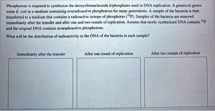 SOLVED: Phosphorus is required to synthesize the deoxyribonucleoside