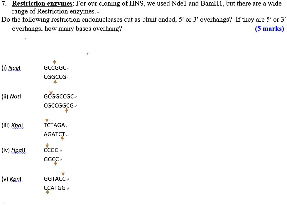 Solved Restriction Enzymes For Our Cloning Of Hns We Used Ndei And Bamhi But There Are A 8136