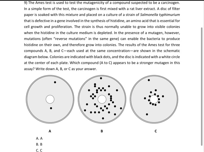 SOLVED The Ames test is used to test the mutagenicity of compounds