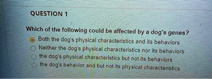 Which of the following could be affected by a dog's genes?
Both the dog's physical characteristics and its behaviors
Neither the dog's physical characteristics nor its behaviors
the dog's physical characteristics but not its behaviors
the dog's behavior and but not its physical characteristics