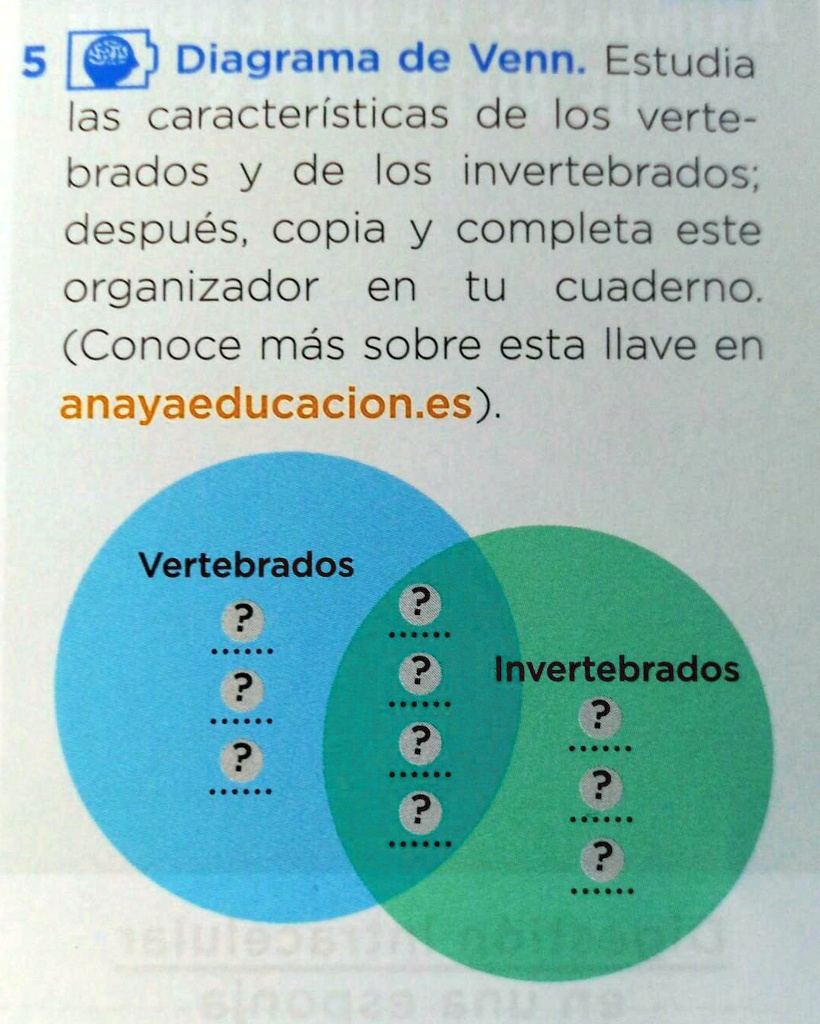 SOLVED: El ejercicio 5 Doy coronita 5 Diagrama de Venn. Estudia las ...