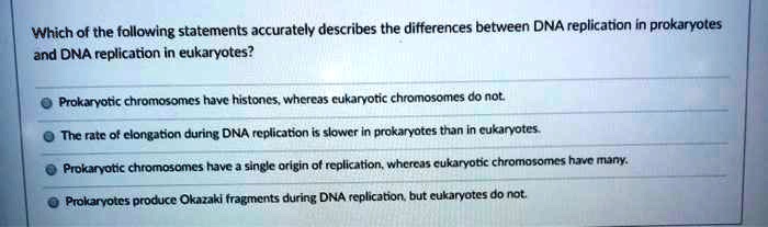 solved which of the following statements accurately describes the differences between dna replication in prokaryoles and dna replication in eukaryotes prokaryotic chromosomes have histones whcrcas cukaryotic chromosomes do not thc ntc ot clongation