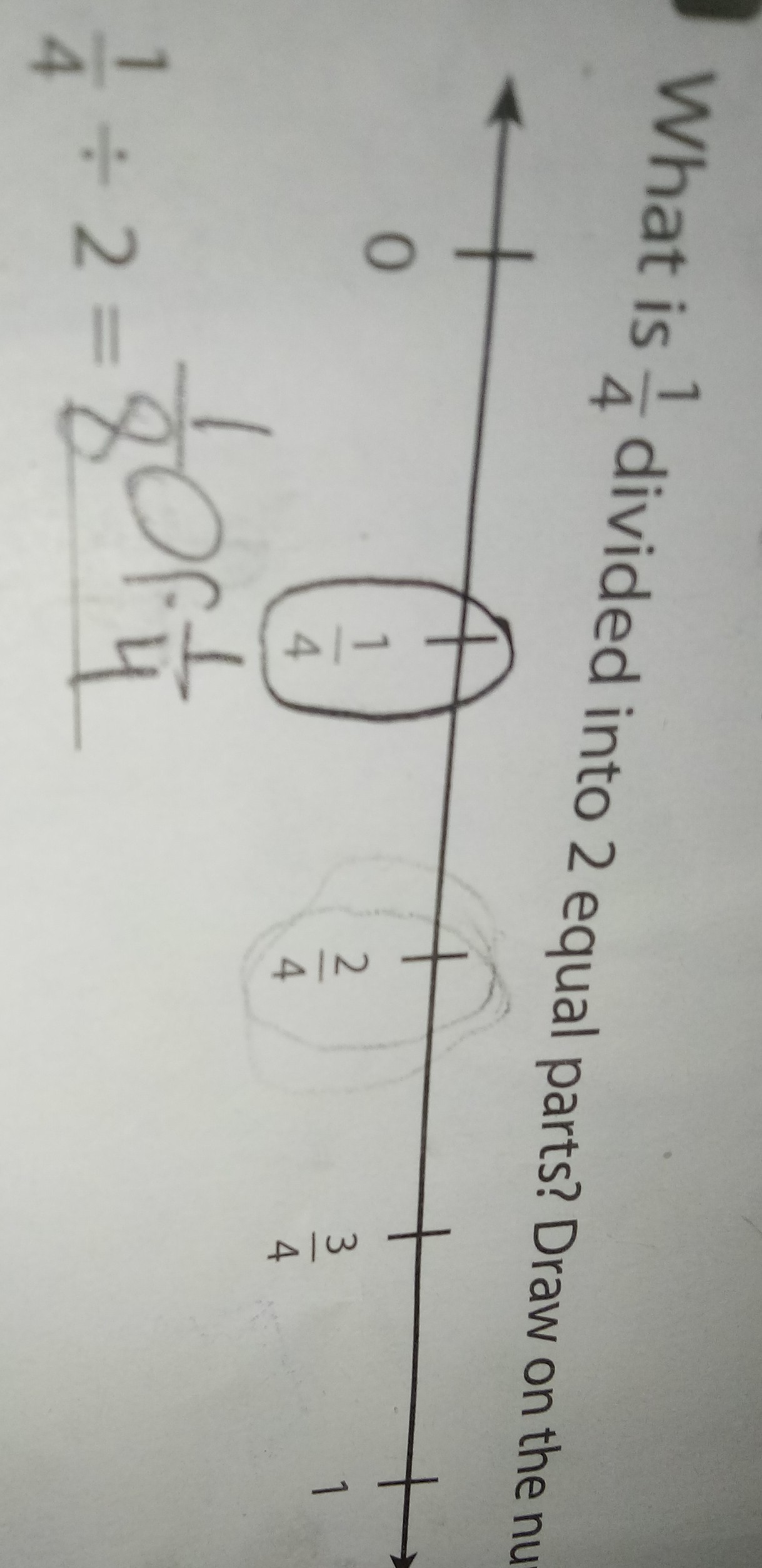 SOLVED What is (1)/(4) divided into 2 equal parts? Draw on the nu